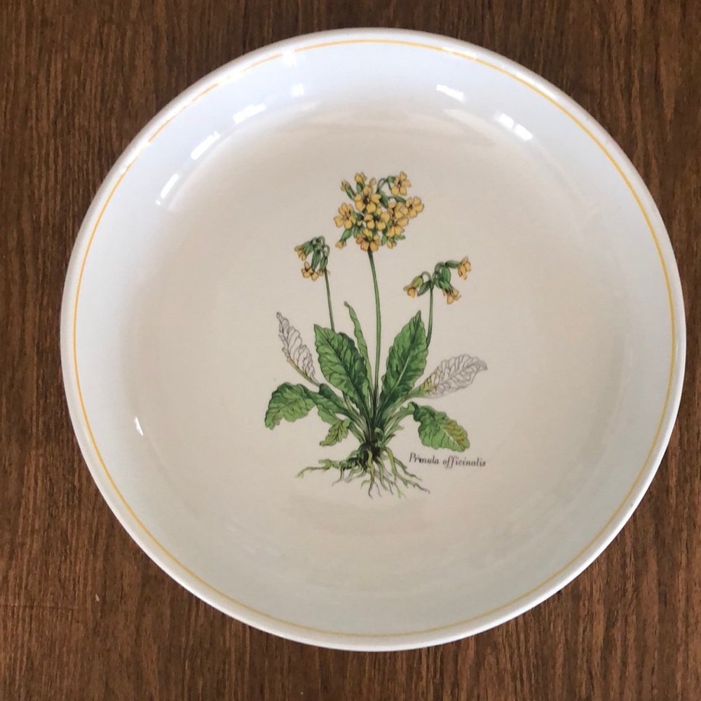Leopoldo Piezi Stoviglierie Hand Painted Italy Pasta Bowl 15.5” diameter